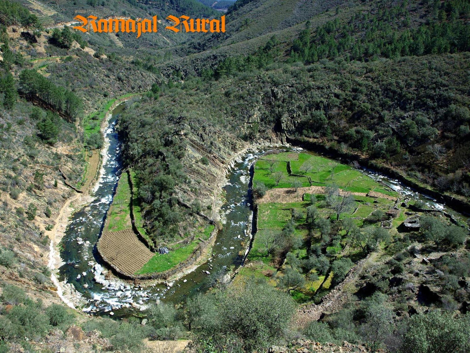 Ramajal Rural Guest House Horcajo  Room photo